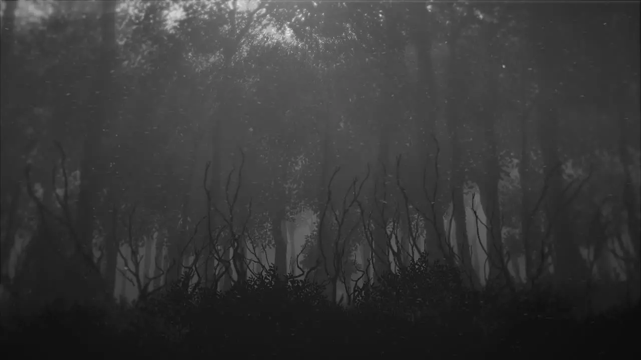 Mystical halloween background with dark forest and fog 5