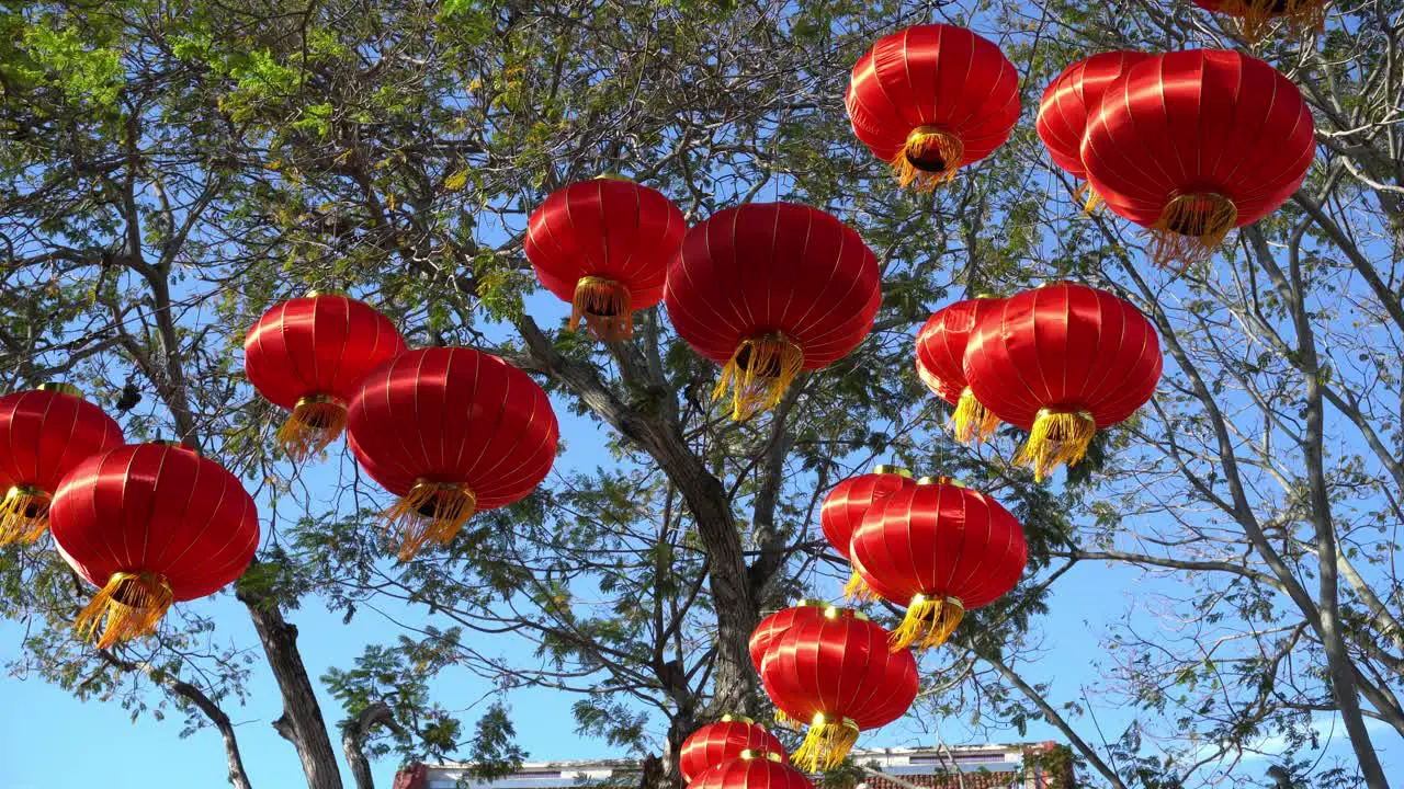 Traditional chinese red lantern display