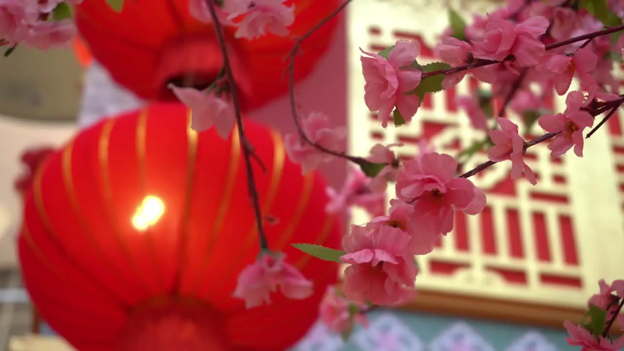 Artificial flower plum blossom with red lantern background