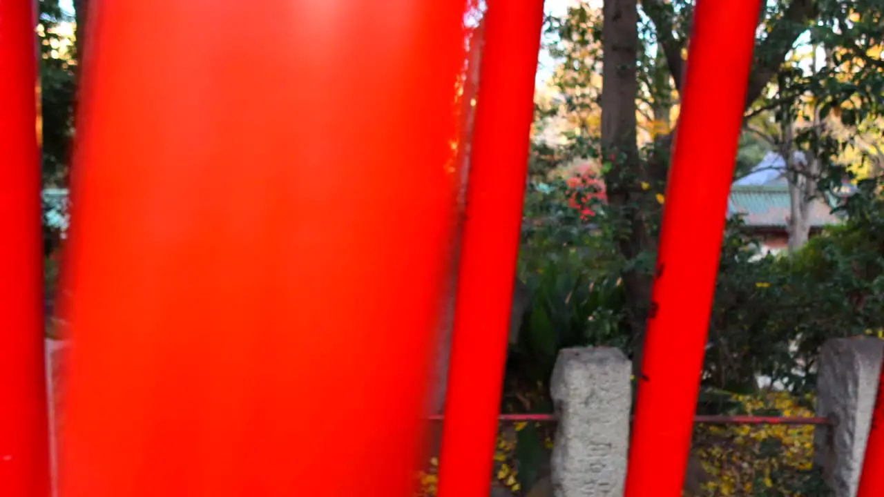 Interesting view of red Torii Gate at Nezu Shrine park in Tokyo city Japan 4K walking right