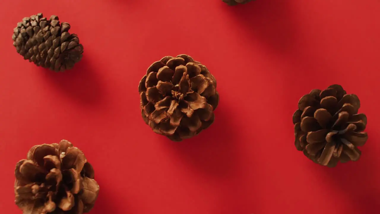 Video of pine cones lying on red surface