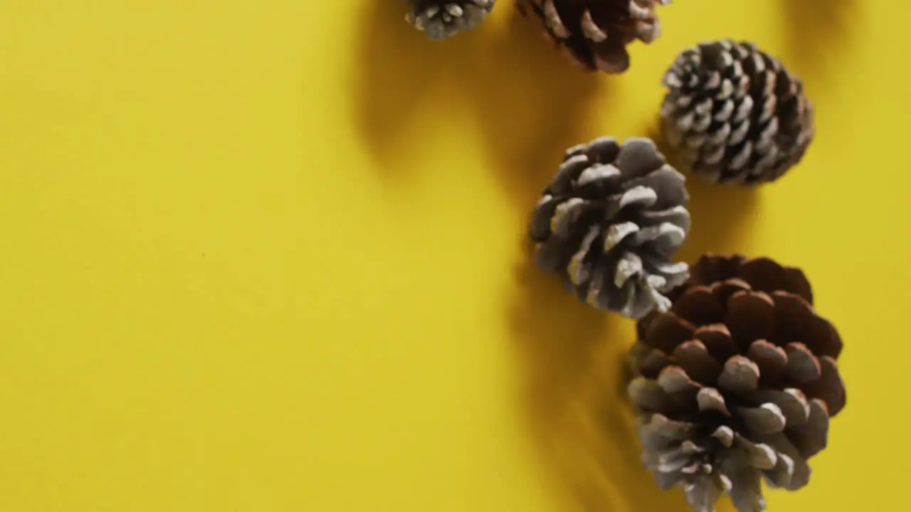 Video of pine cones lying on yellow surface