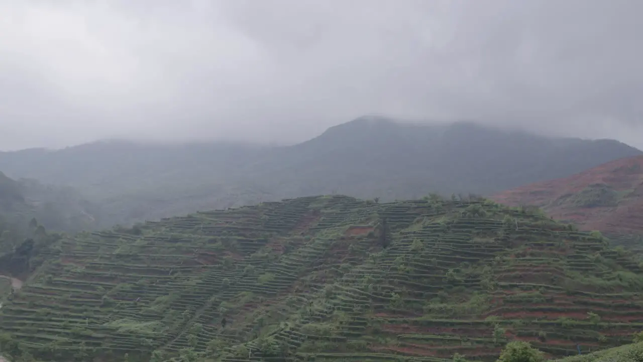 Mountain landscape with Chinese green tea plantation terraces on the slopes on an overcast rainy day