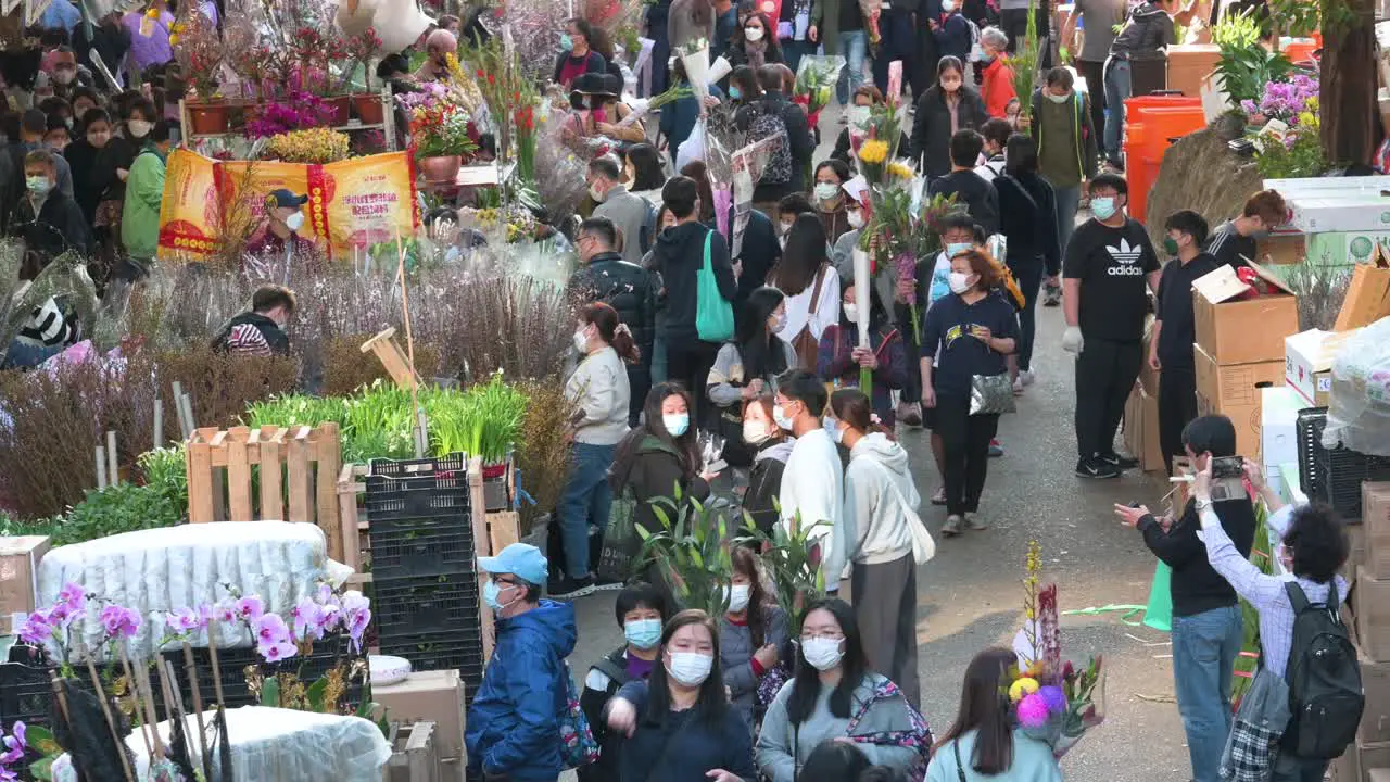 Chinese customers buy decorative Chinese New Year theme flowers and plants at a flower market street stall ahead of the Lunar Chinese New Year festivities in Hong Kong