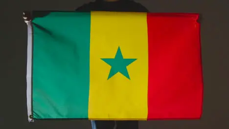 Studio Shot Of Anonymous Person Or Sports Fan Holding Flag Of Senegal Against Black Background