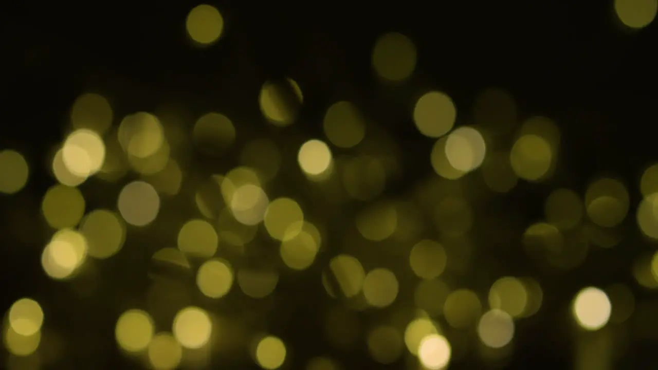 Twinkling Lights Creating Bokeh