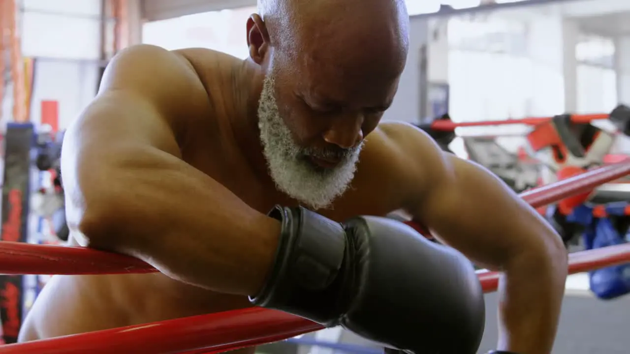 Senior boxer leaning on the boxing ring 4k