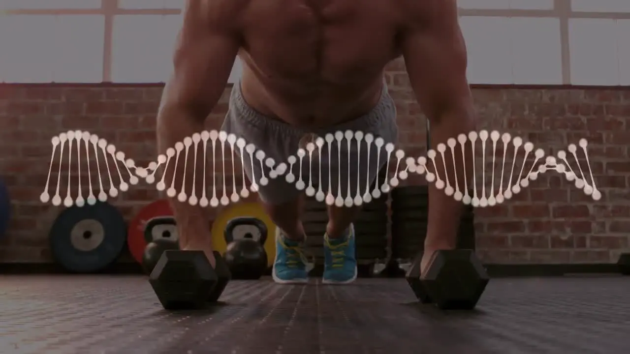 Dna structure spinning against caucasian fit man performing performing push up exercise at the gym