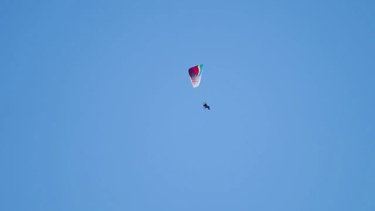 A paramotor glider flies in the blue skies and then disappears behind the trees