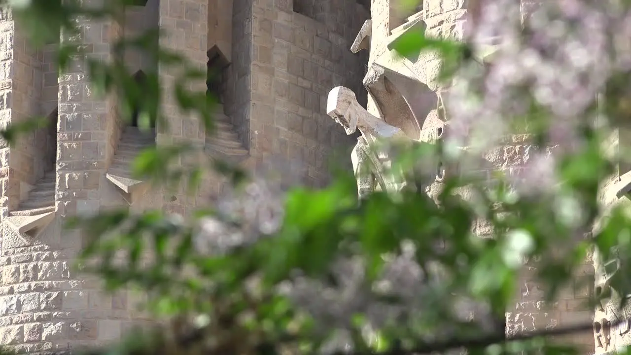 Spain Barcelona Sagrada Familia Saint With Tree Branches