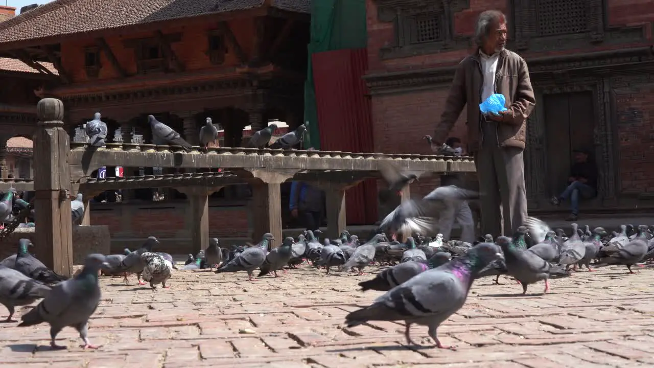 Patan Nepal March 3 2021 An elderly man feeding pigeons at the Patan Durbar Marg in Nepal