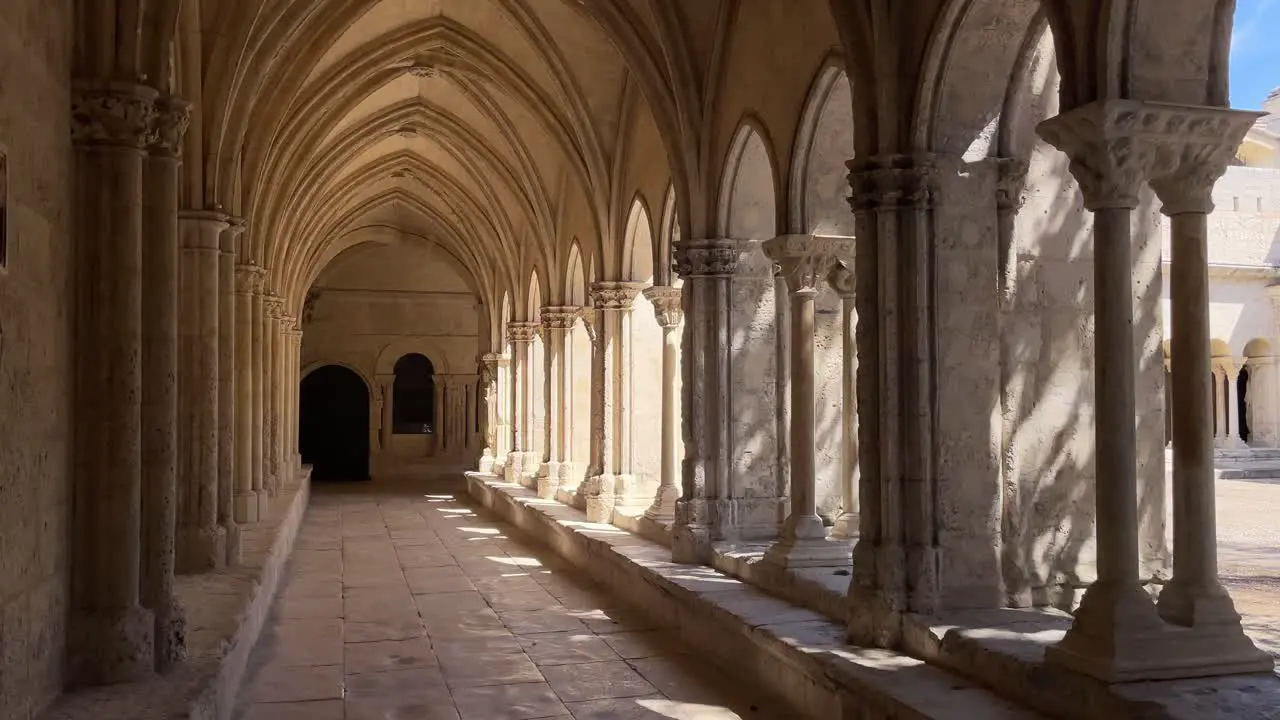 The shadows of trees cast on the columns of the cloister in the claustro