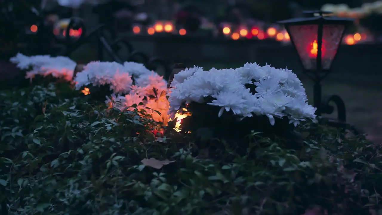 White flowers and burning candles in a cemetery