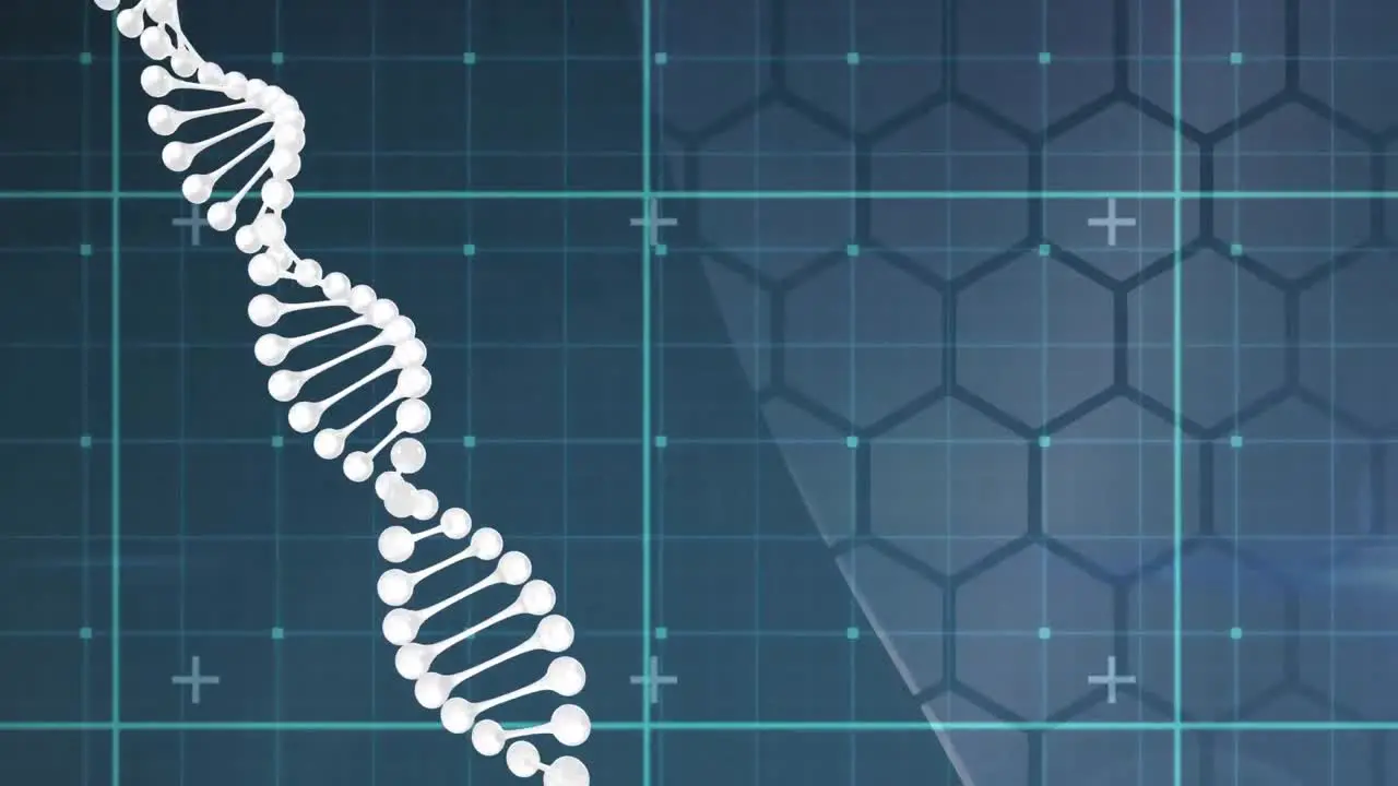 Animation of a white dna strain spinning over a grid