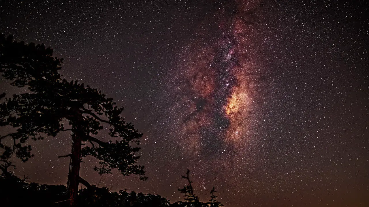 Milky way moving through the night sky and trees in the background