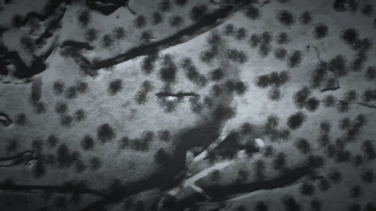 Black and white microscopic view showcasing numerous irregularly shaped bacteria clusters scattered across the field of view with varying densities