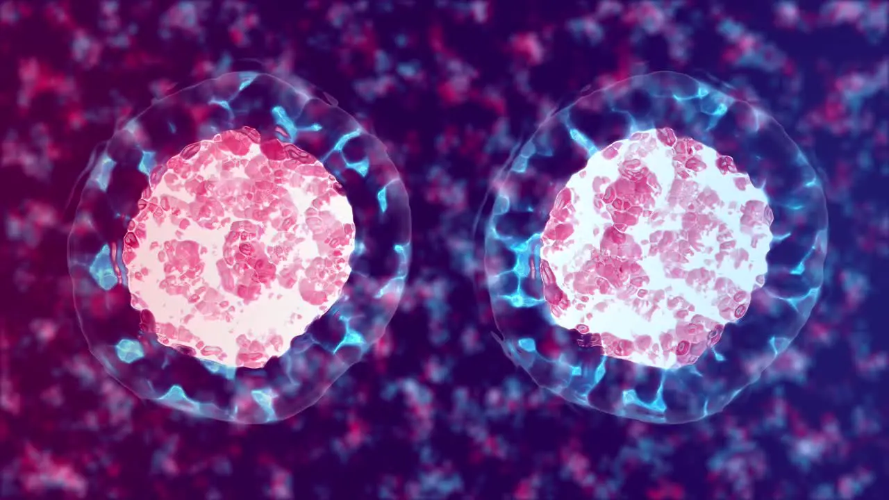 Cell division Mitosis 3d animation