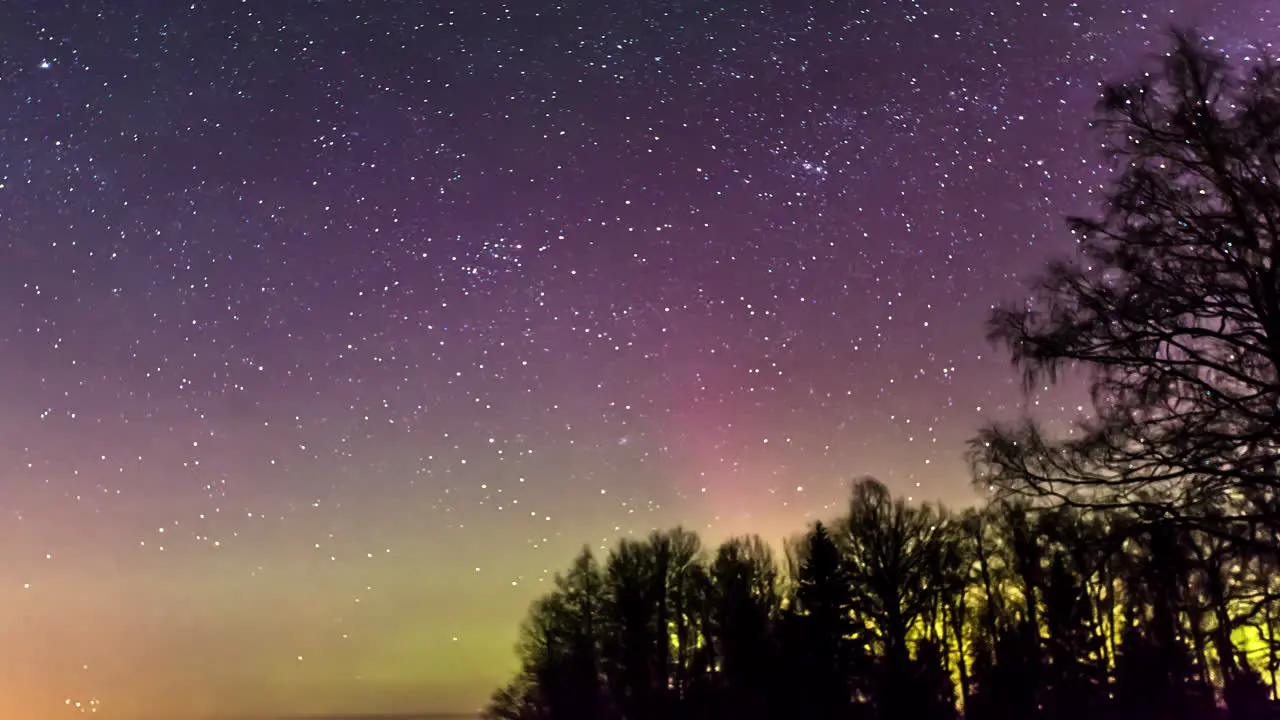 Green Aurora Borealis And Starry Night Sky Over Silhouetted Trees