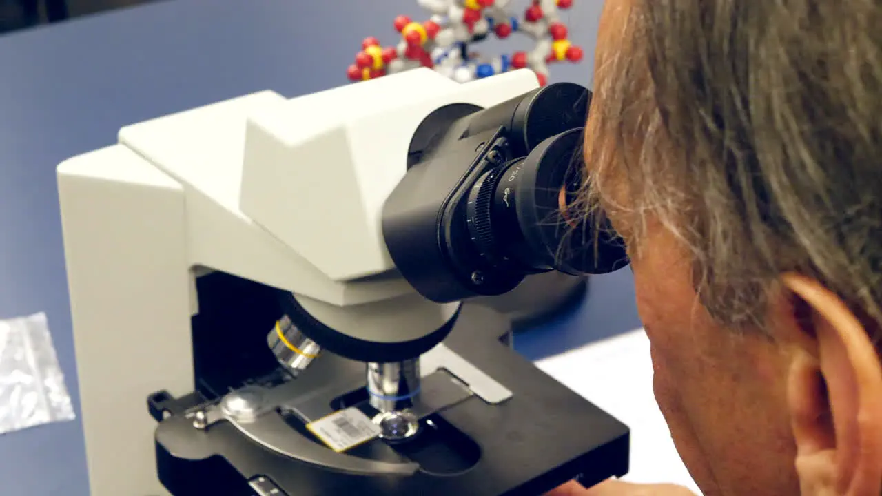 A science college professor looking through a microscope at human cancer cells in a biology laboratory classroom