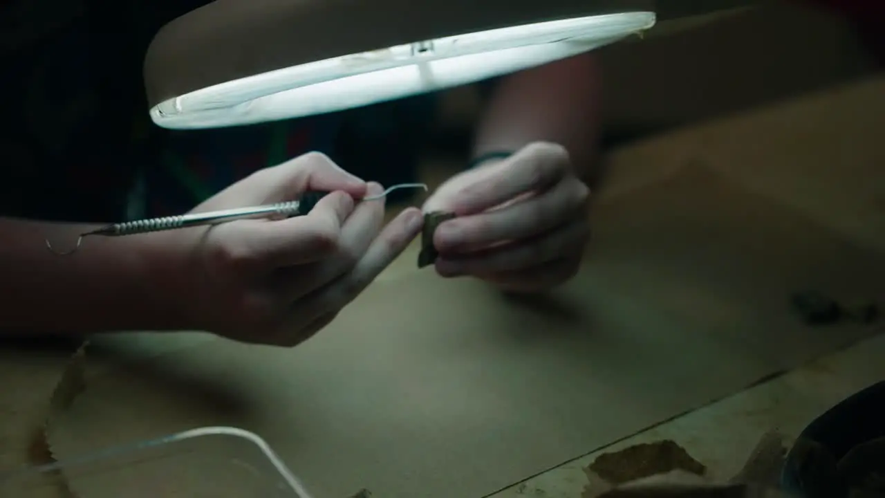 Professional Paleontologist using tools to clean dinosaur fossil under bright light in science lab at museum