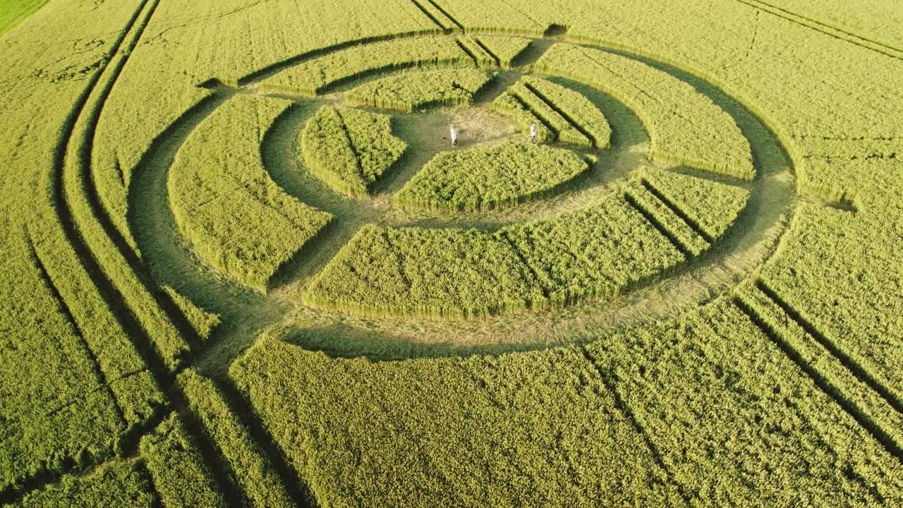 Hackpen hill mysterious wheat field crop circle design in green furrow farmland aerial low angle view rotating