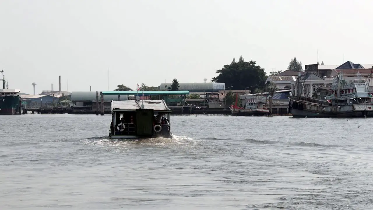 River Ferry with birds