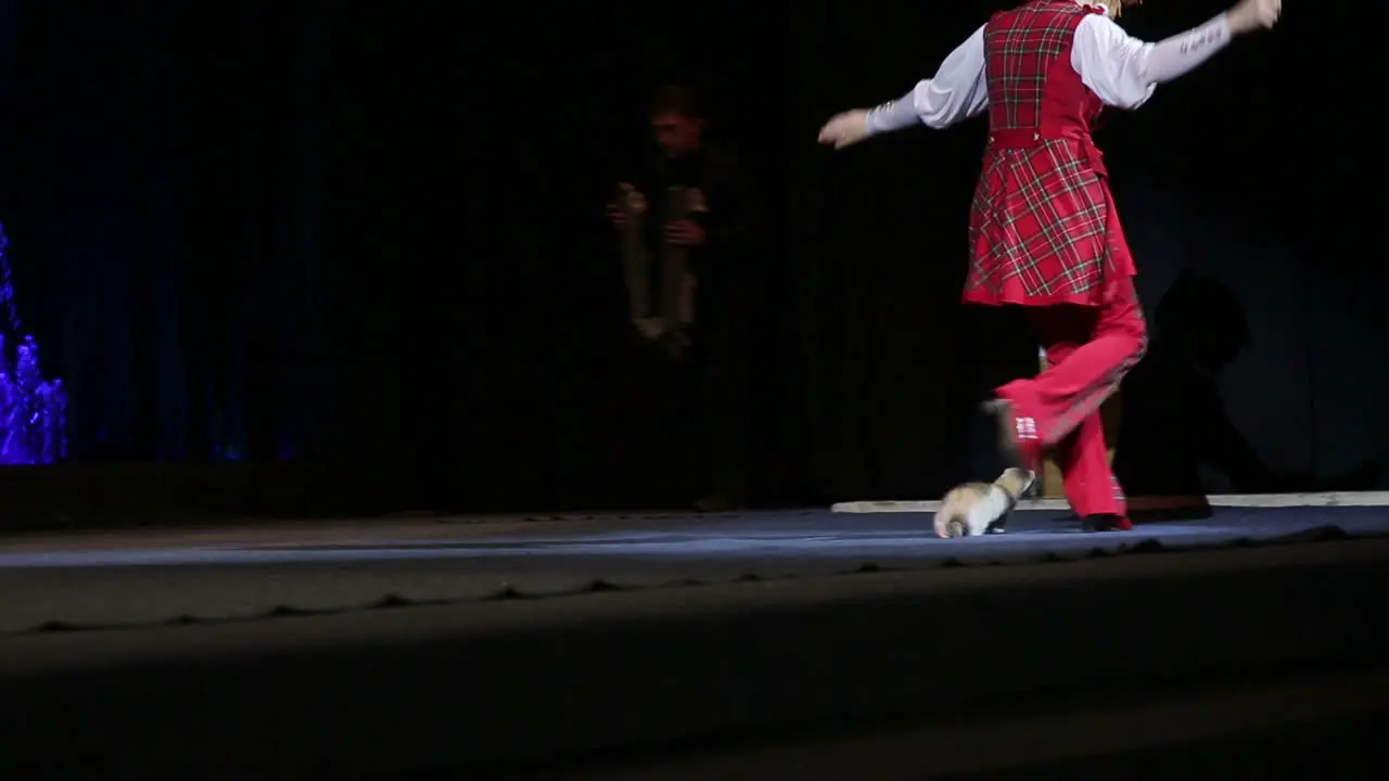 Woman performing with trained marten