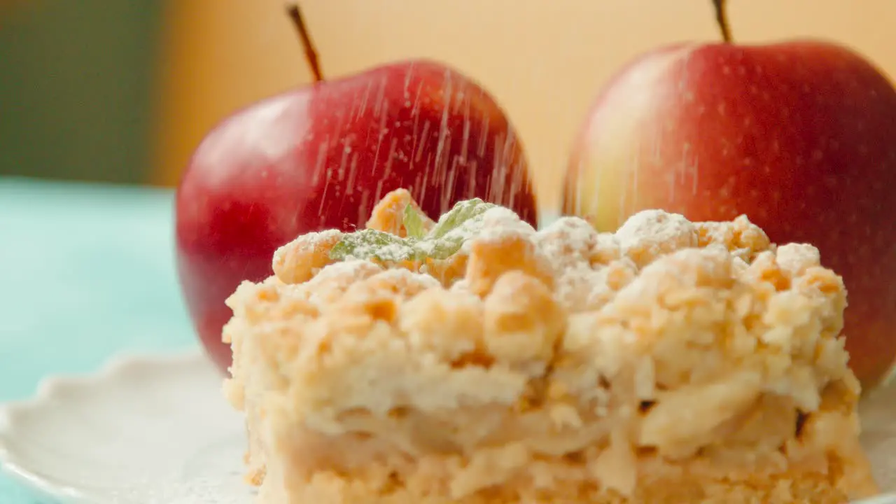 Homemade Apple Pie on the plate