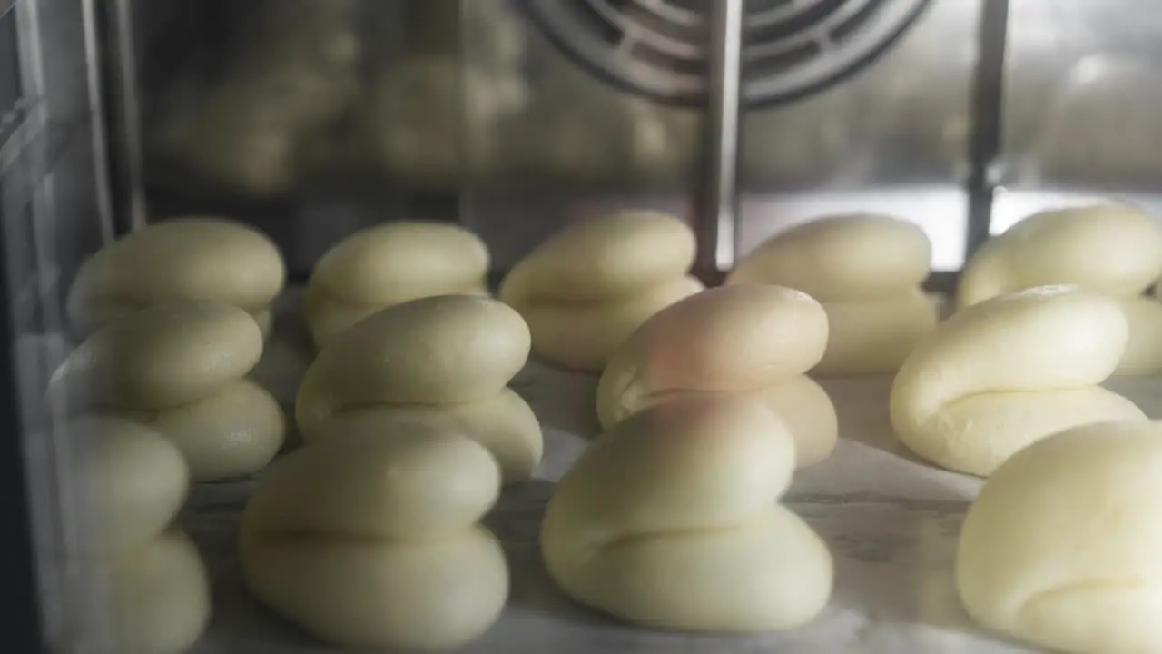 1080p 24p steam bun Steam bao timelapse