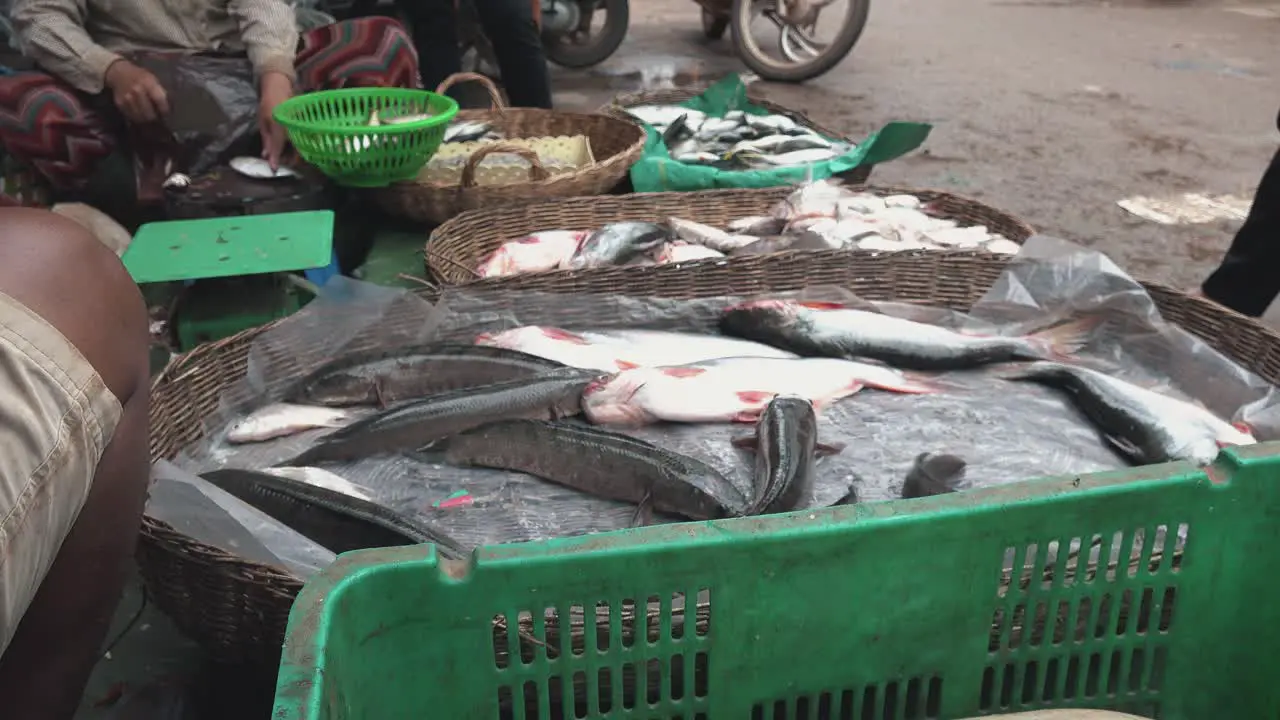 Live Fish For Sale at the Market