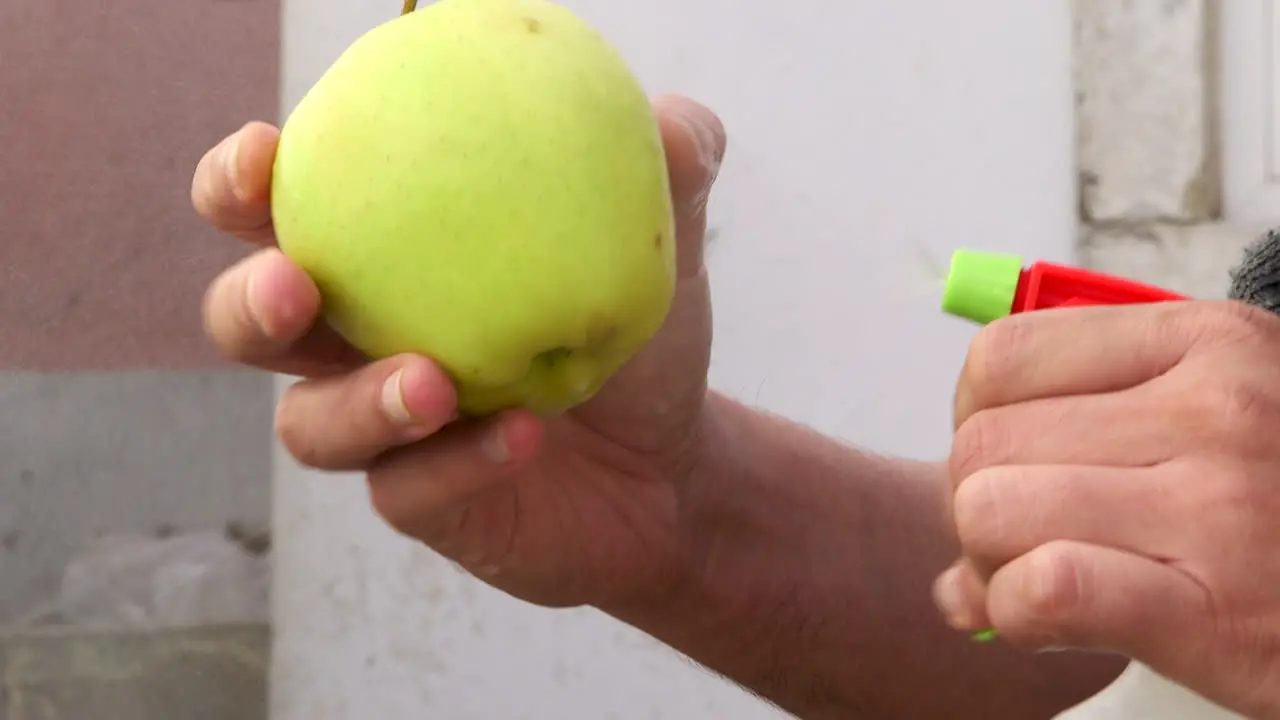 Cleaning and disinfected an apple during the COVID-19 pandemic detail shot