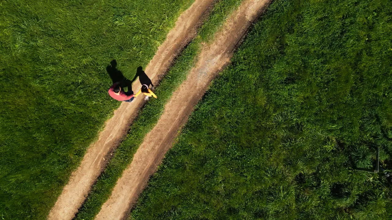 Aerial view family walking