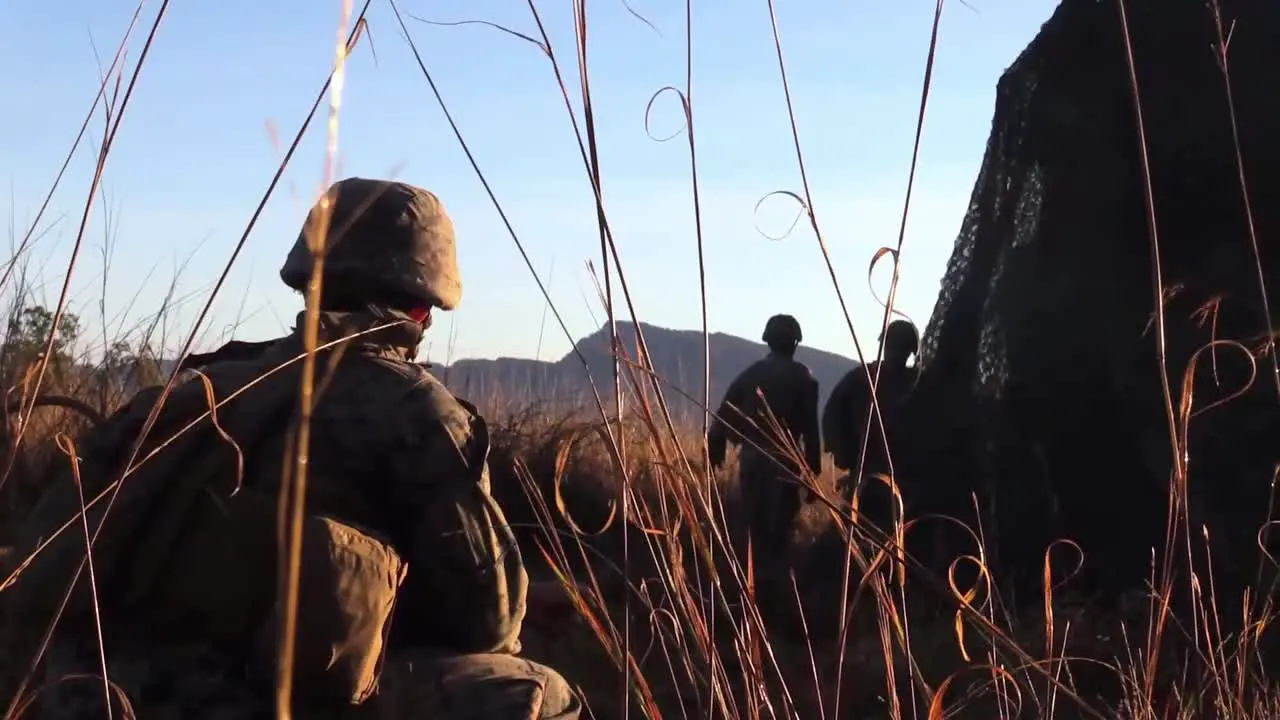 Australian Defense Force Soldiers And Us Marines Set Up And Fire Howitzer Artillery Exercise Talisman Sabre 21 Australia