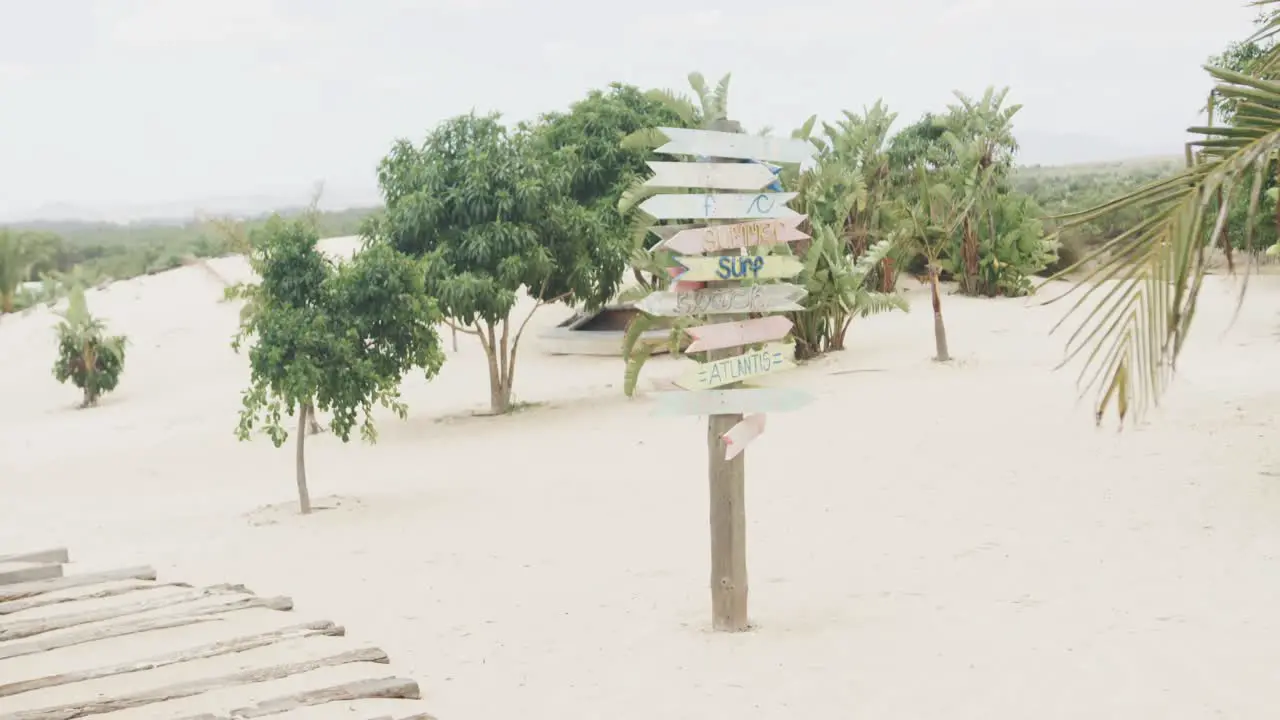 Weathered signpost and trees on sunny sandy holiday beach slow motion