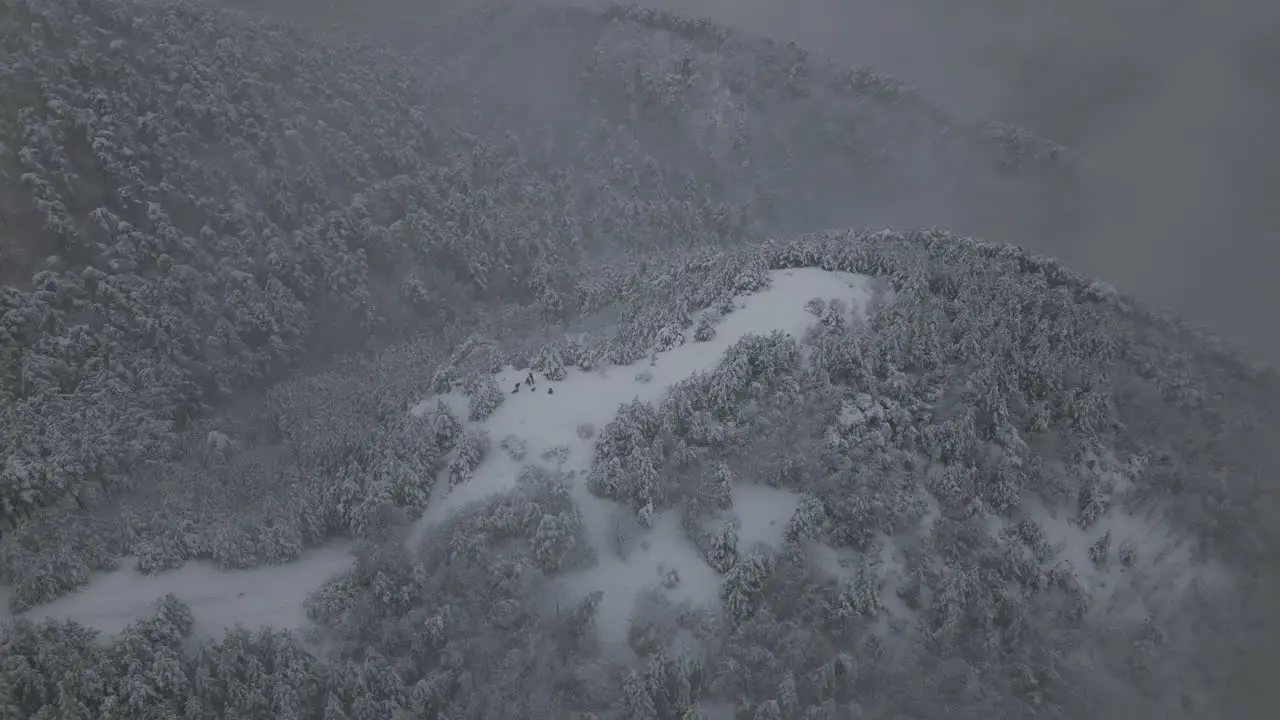 Areal Footage of Winter forest snow and foggy