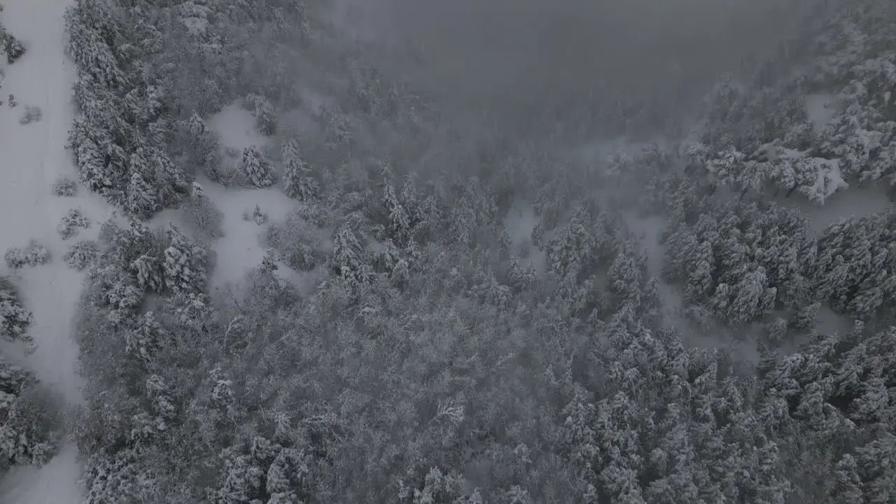 Snowy Foggy Winter Aerial Footage