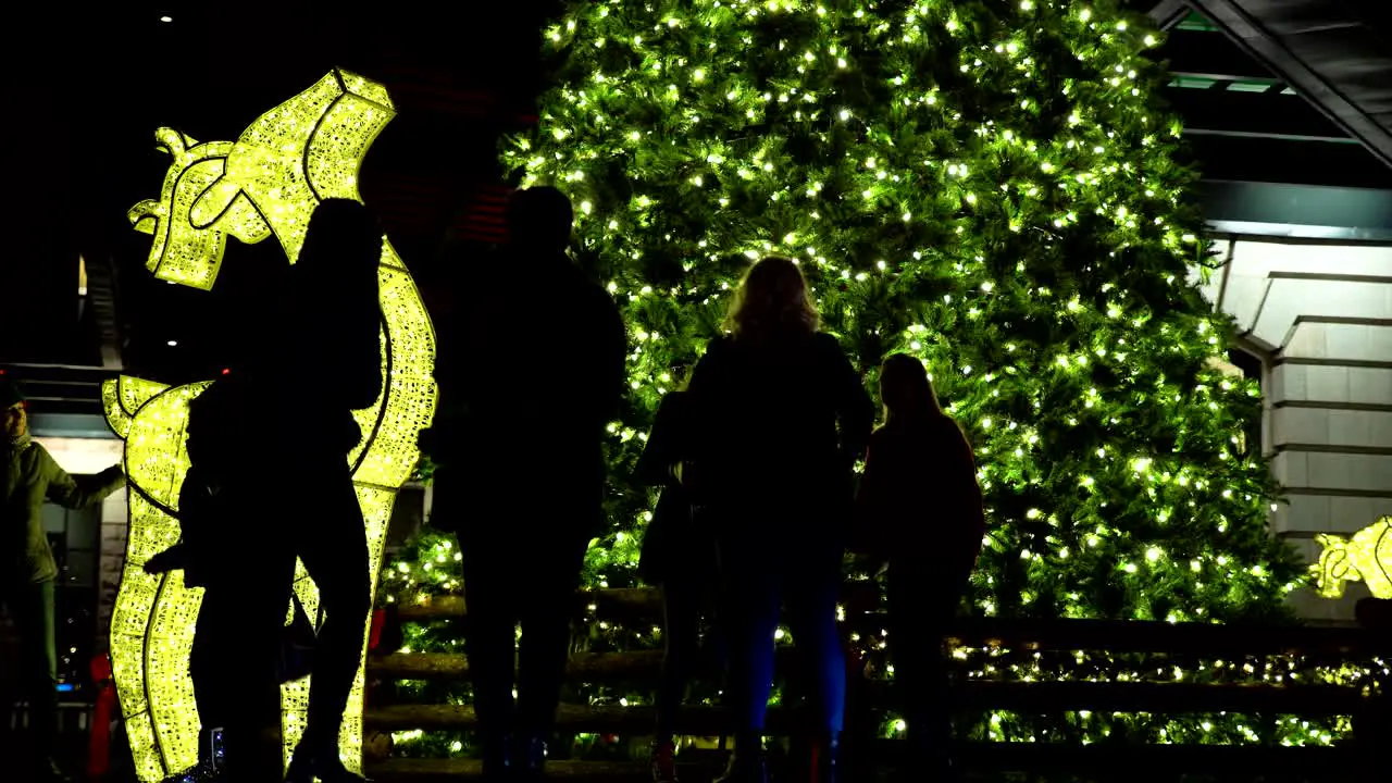 Holiday lights decoration at the Union Station