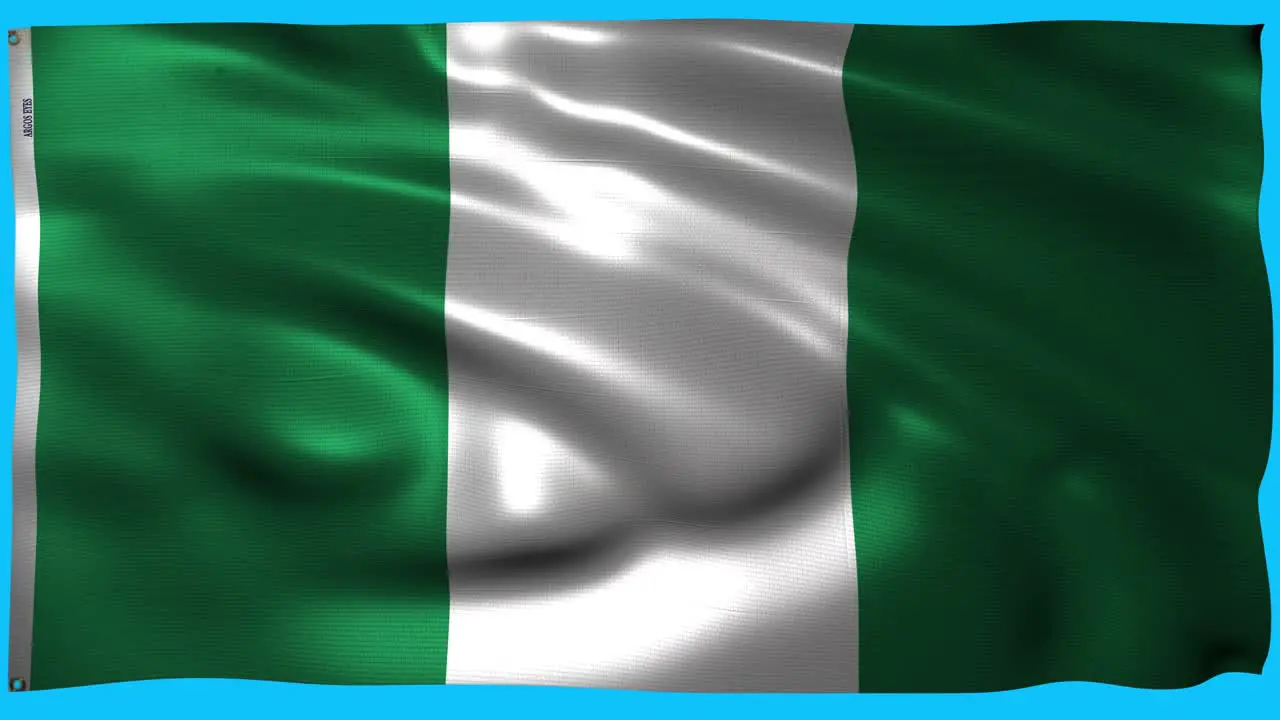 The flag of nigeria