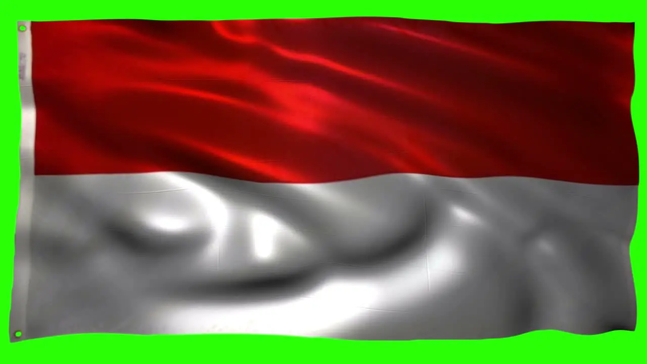 The Flag of Indonesia