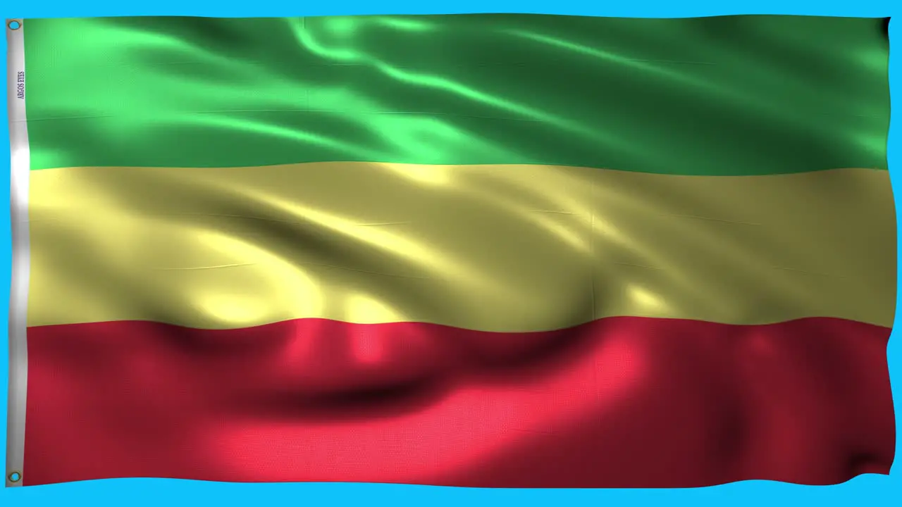 A rastafarian flag