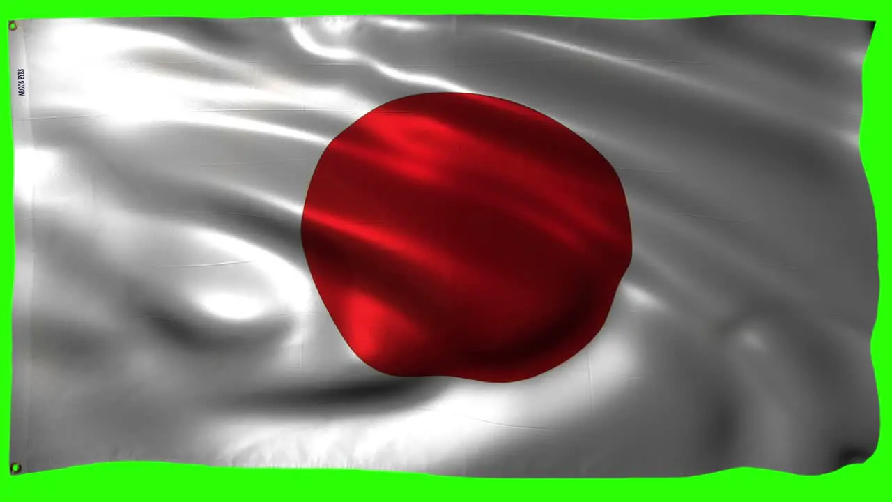 The Flag of Japan