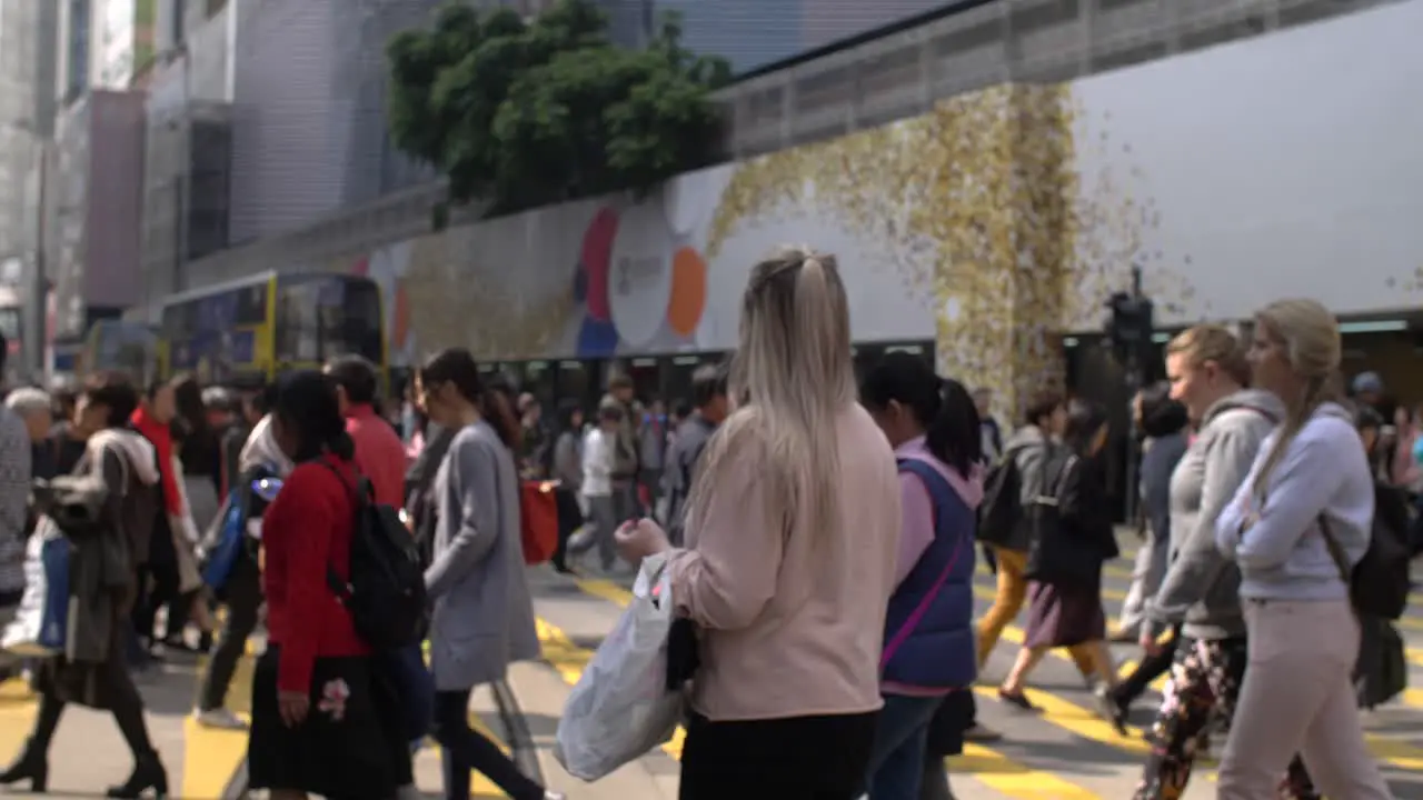 Tracking Through Crowd Crossing Road