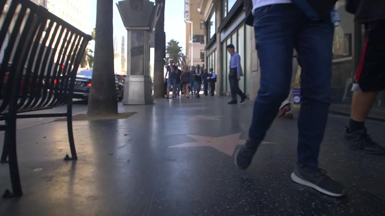 Pedestrian on the Walk of Fame