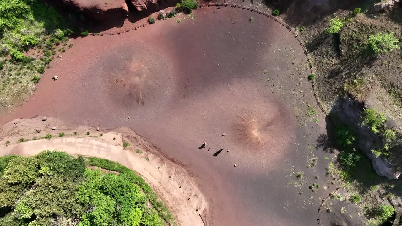 Couple with dog explore in volcanic area surrounded by primitive nature