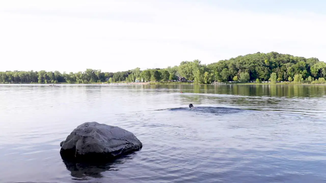 Adult male going into the lake and swimming across the lake