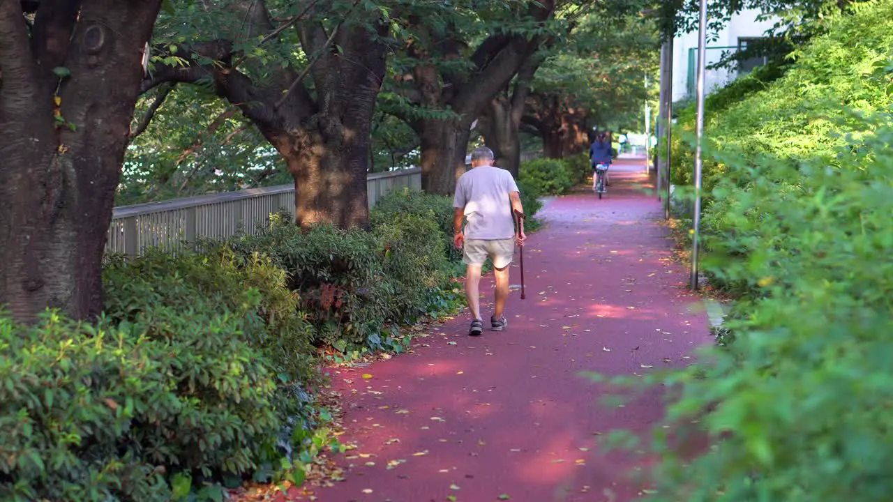 Japan has one of the longest-lived populations in the world