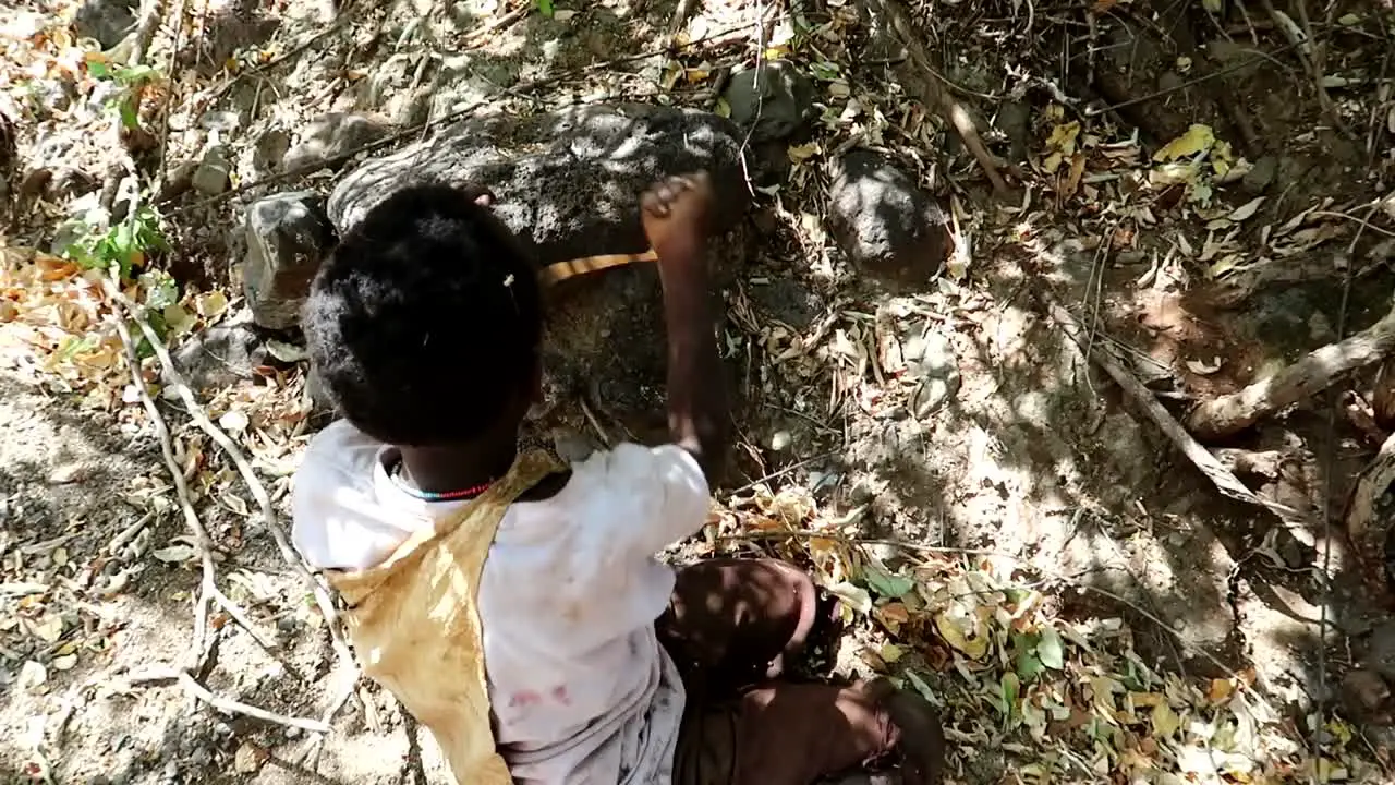 A young Hadzabe tribe member peeling the Baobab root to eat in a forest setting