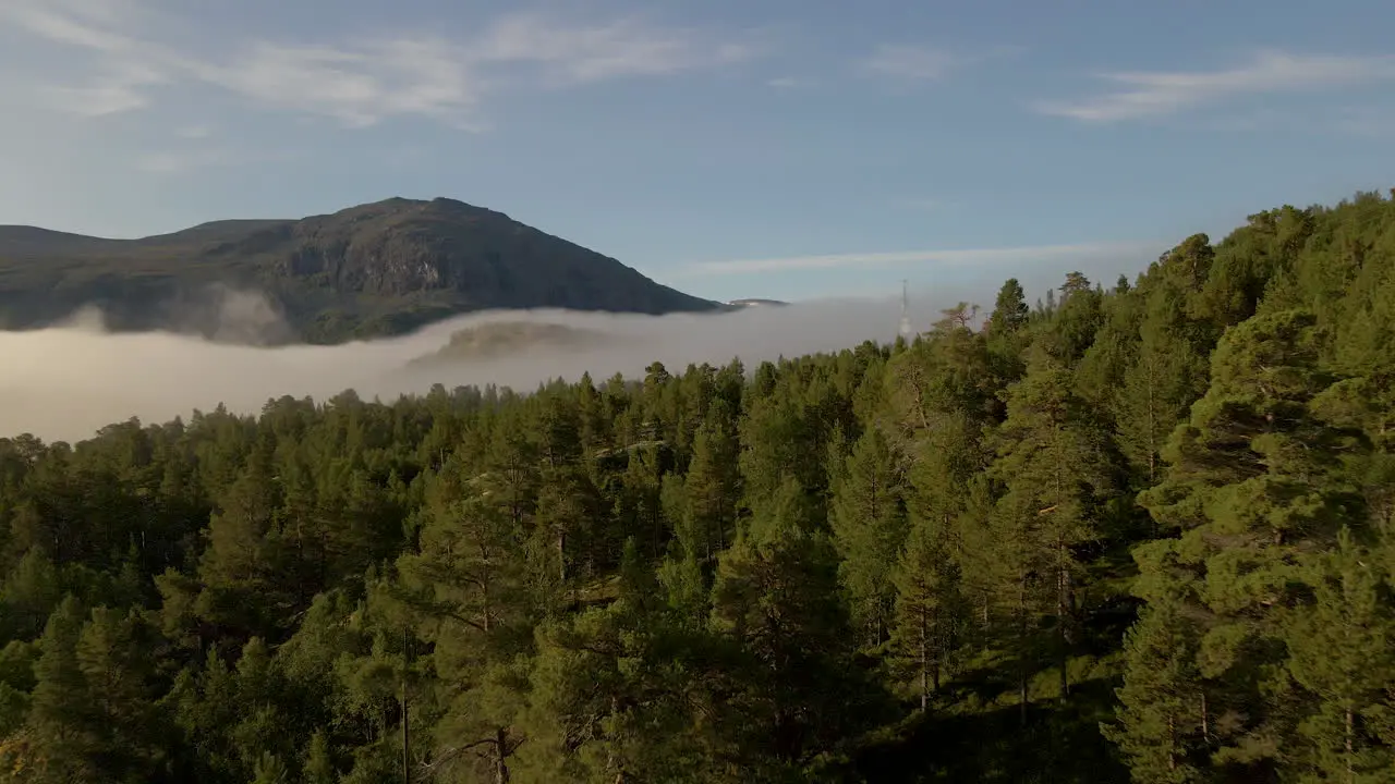 Beautiful aerial shot flying low over a forest with mountains and fog in Norway