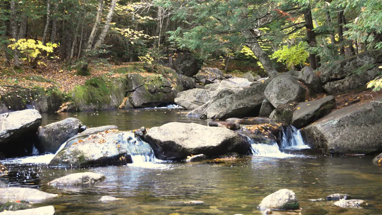 Calm static shot of a gentle stream in Autumn Screw Auger Falls Maine