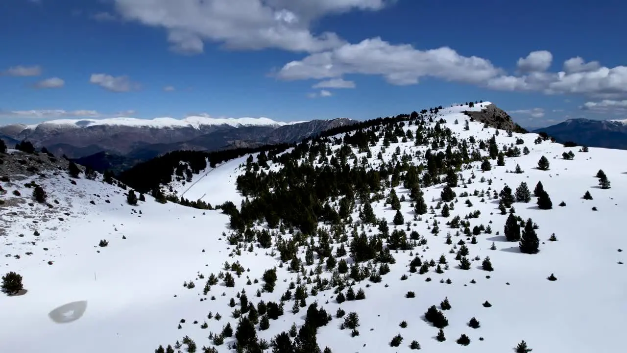 snowy landscape on a sunny day of an alpine forest seen from a DJI drone